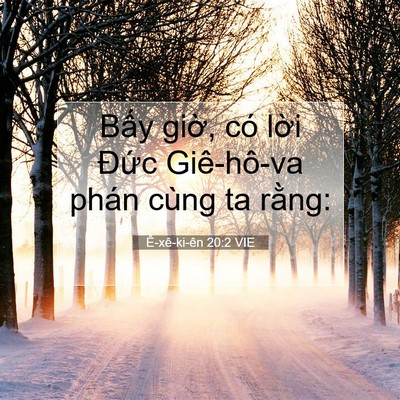 Picture 07 - Ê-xê-ki-ên 20:2 VIE - Bấy giờ, có lời Đức Giê-hô-va phán - Bible Verse Picture