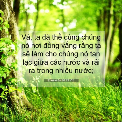 Picture 07 - Ê-xê-ki-ên 20:23 VIE - Vả, ta đã thề cùng chúng nó nơi đồng - Bible Verse Picture