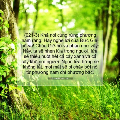 Picture 07 - Ê-xê-ki-ên 20:47 VIE - (021-3) Khá nói cùng rừng phương nam - Bible Verse Picture