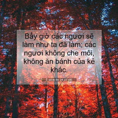 Picture 07 - Ê-xê-ki-ên 24:22 VIE - Bấy giờ các ngươi sẽ làm như ta đã - Bible Verse Picture