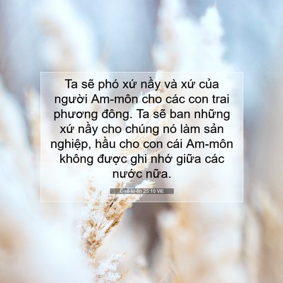 Picture 07 - Ê-xê-ki-ên 25:10 VIE - Ta sẽ phó xứ nầy và xứ của người - Bible Verse Picture