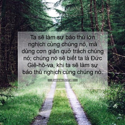 Picture 07 - Ê-xê-ki-ên 25:17 VIE - Ta sẽ làm sự báo thù lớn nghịch cùng - Bible Verse Picture