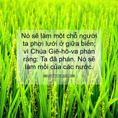 Picture 07 - Ê-xê-ki-ên 26:5 VIE - Nó sẽ làm một chỗ người ta phơi - Bible Verse Picture