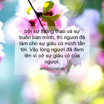 Picture 07 - Ê-xê-ki-ên 28:5 VIE - bởi sự thông thạo và sự buôn bán - Bible Verse Picture