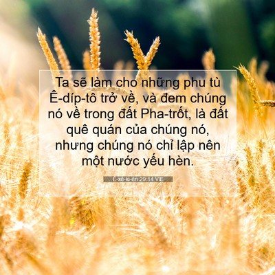 Picture 07 - Ê-xê-ki-ên 29:14 VIE - Ta sẽ làm cho những phu tù Ê-díp-tô - Bible Verse Picture