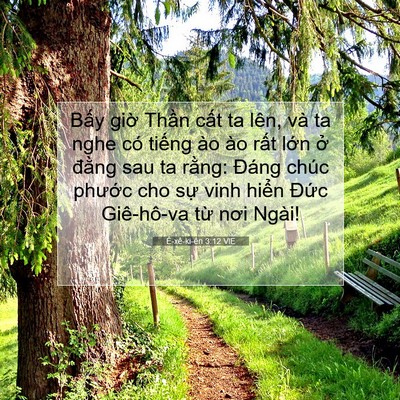Picture 07 - Ê-xê-ki-ên 3:12 VIE - Bấy giờ Thần cất ta lên, và ta nghe có - Bible Verse Picture