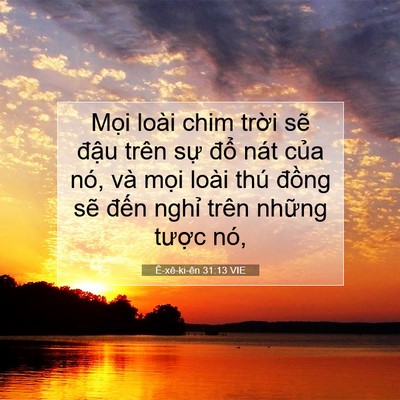 Picture 07 - Ê-xê-ki-ên 31:13 VIE - Mọi loài chim trời sẽ đậu trên sự - Bible Verse Picture