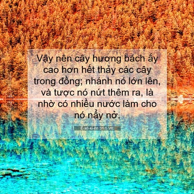 Picture 07 - Ê-xê-ki-ên 31:5 VIE - Vậy nên cây hương bách ấy cao hơn hết - Bible Verse Picture