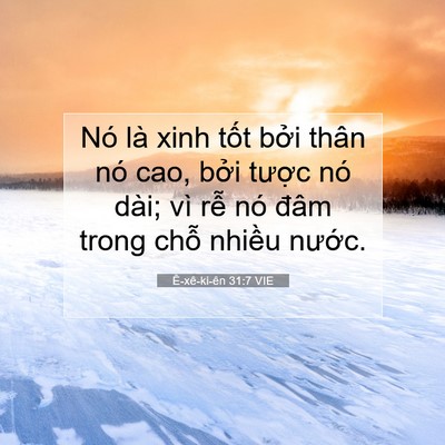 Picture 07 - Ê-xê-ki-ên 31:7 VIE - Nó là xinh tốt bởi thân nó cao, bởi - Bible Verse Picture