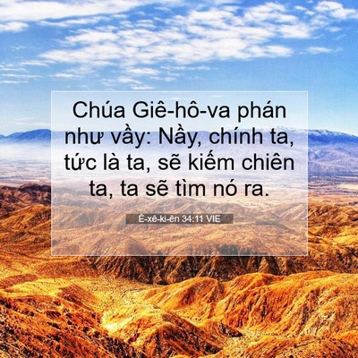 Picture 07 - Ê-xê-ki-ên 34:11 VIE - Chúa Giê-hô-va phán như vầy: Nầy, chính - Bible Verse Picture