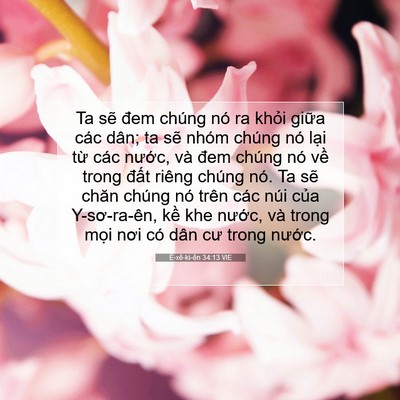 Picture 07 - Ê-xê-ki-ên 34:13 VIE - Ta sẽ đem chúng nó ra khỏi giữa các - Bible Verse Picture