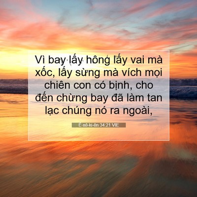 Picture 07 - Ê-xê-ki-ên 34:21 VIE - Vì bay lấy hông lấy vai mà xốc, lấy - Bible Verse Picture