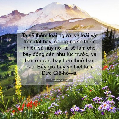 Picture 07 - Ê-xê-ki-ên 36:11 VIE - Ta sẽ thêm loài người và loài vật - Bible Verse Picture