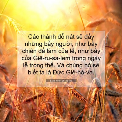 Picture 07 - Ê-xê-ki-ên 36:38 VIE - Các thành đổ nát sẽ đầy những bầy - Bible Verse Picture
