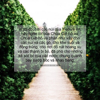 Picture 07 - Ê-xê-ki-ên 36:4 VIE - vì cớ đó, hỡi các núi của - Bible Verse Picture