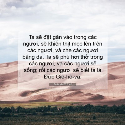Picture 07 - Ê-xê-ki-ên 37:6 VIE - Ta sẽ đặt gân vào trong các ngươi, sẽ - Bible Verse Picture