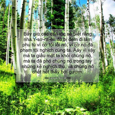 Picture 07 - Ê-xê-ki-ên 39:23 VIE - Bấy giờ các dân tộc sẽ biết rằng - Bible Verse Picture