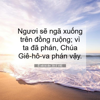 Picture 07 - Ê-xê-ki-ên 39:5 VIE - Ngươi sẽ ngã xuống trên đồng ruộng; - Bible Verse Picture