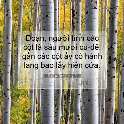 Picture 07 - Ê-xê-ki-ên 40:14 VIE - Đoạn, người tính các cột là sáu - Bible Verse Picture