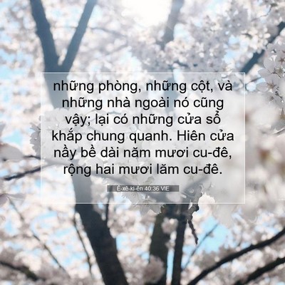 Picture 07 - Ê-xê-ki-ên 40:36 VIE - những phòng, những cột, và những nhà - Bible Verse Picture