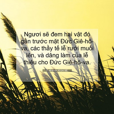 Picture 07 - Ê-xê-ki-ên 43:24 VIE - Ngươi sẽ đem hai vật đó gần trước - Bible Verse Picture