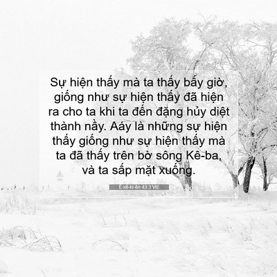 Picture 07 - Ê-xê-ki-ên 43:3 VIE - Sự hiện thấy mà ta thấy bấy giờ, - Bible Verse Picture