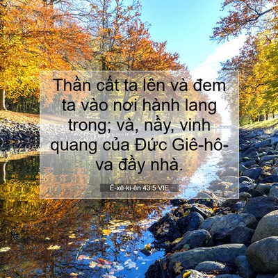 Picture 07 - Ê-xê-ki-ên 43:5 VIE - Thần cất ta lên và đem ta vào nơi hành - Bible Verse Picture