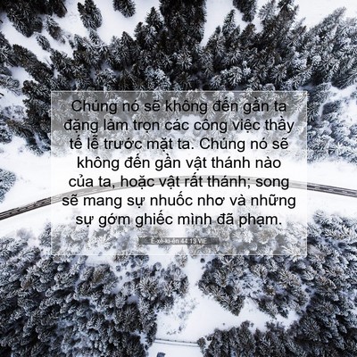 Picture 07 - Ê-xê-ki-ên 44:13 VIE - Chúng nó sẽ không đến gần ta đặng - Bible Verse Picture