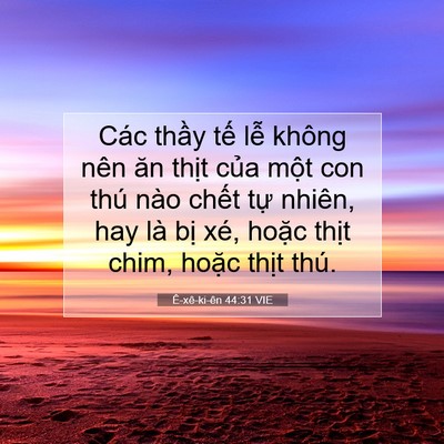 Picture 07 - Ê-xê-ki-ên 44:31 VIE - Các thầy tế lễ không nên ăn thịt - Bible Verse Picture