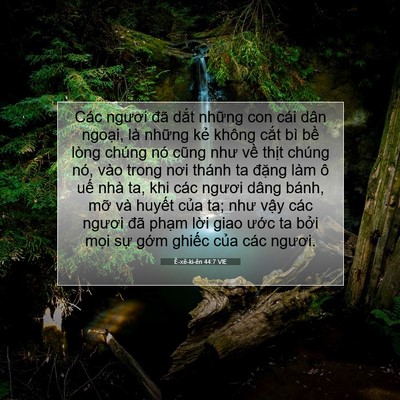 Picture 07 - Ê-xê-ki-ên 44:7 VIE - Các ngươi đã dắt những con cái dân - Bible Verse Picture