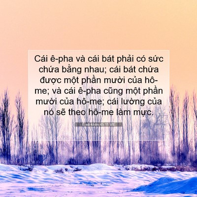 Picture 07 - Ê-xê-ki-ên 45:11 VIE - Cái ê-pha và cái bát phải có sức chứa - Bible Verse Picture