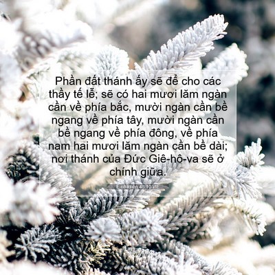 Picture 07 - Ê-xê-ki-ên 48:10 VIE - Phần đất thánh ấy sẽ để cho các - Bible Verse Picture