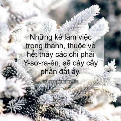 Picture 07 - Ê-xê-ki-ên 48:19 VIE - Những kẻ làm việc trong thành, thuộc - Bible Verse Picture