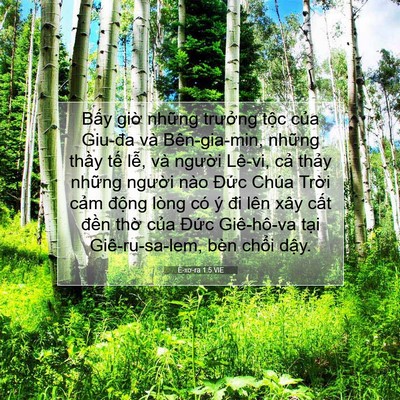 Picture 07 - Ê-xơ-ra 1:5 VIE - Bấy giờ những trưởng tộc của Giu-đa - Bible Verse Picture