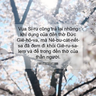 Picture 07 - Ê-xơ-ra 1:7 VIE - Vua Si-ru cũng trả lại những khí dụng - Bible Verse Picture