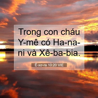 Picture 07 - Ê-xơ-ra 10:20 VIE - Trong con cháu Y-mê có Ha-na-ni và - Bible Verse Picture