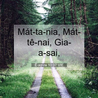 Picture 07 - Ê-xơ-ra 10:37 VIE - Mát-ta-nia, Mát-tê-nai, - Bible Verse Picture