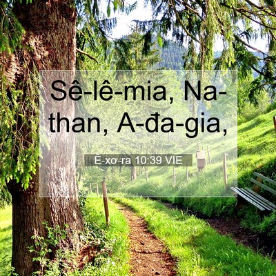 Picture 07 - Ê-xơ-ra 10:39 VIE - Sê-lê-mia, Na-than, - Bible Verse Picture
