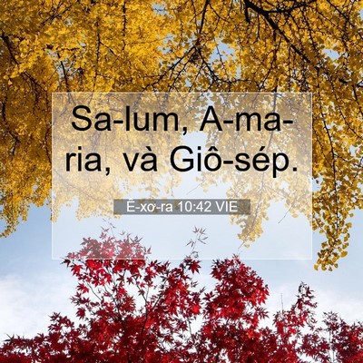 Picture 07 - Ê-xơ-ra 10:42 VIE - Sa-lum, A-ma-ria, và - Bible Verse Picture