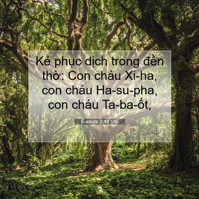 Picture 07 - Ê-xơ-ra 2:43 VIE - Kẻ phục dịch trong đền thờ: Con cháu - Bible Verse Picture