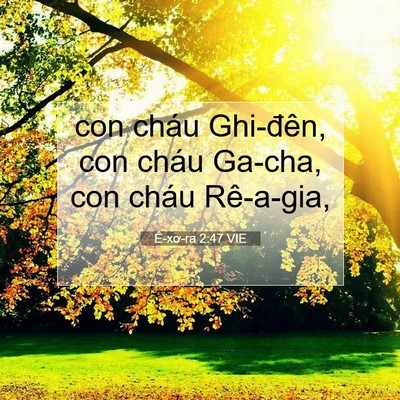 Picture 07 - Ê-xơ-ra 2:47 VIE - con cháu Ghi-đên, con cháu Ga-cha, con cháu - Bible Verse Picture