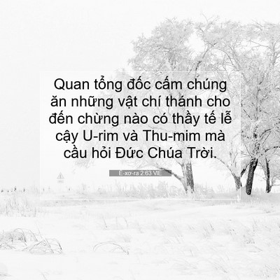 Picture 07 - Ê-xơ-ra 2:63 VIE - Quan tổng đốc cấm chúng ăn những vật - Bible Verse Picture