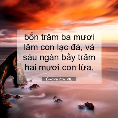 Picture 07 - Ê-xơ-ra 2:67 VIE - bốn trăm ba mươi lăm con lạc đà, và - Bible Verse Picture