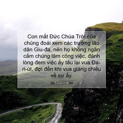 Picture 07 - Ê-xơ-ra 5:5 VIE - Con mắt Đức Chúa Trời của chúng đoái - Bible Verse Picture