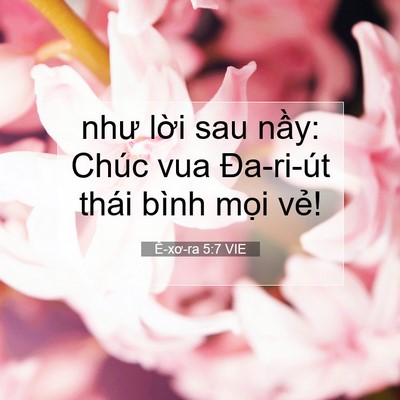 Picture 07 - Ê-xơ-ra 5:7 VIE - như lời sau nầy: Chúc vua Đa-ri-út thái - Bible Verse Picture