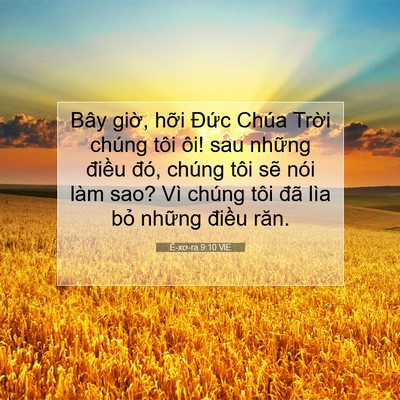 Picture 07 - Ê-xơ-ra 9:10 VIE - Bây giờ, hỡi Đức Chúa Trời chúng tôi - Bible Verse Picture