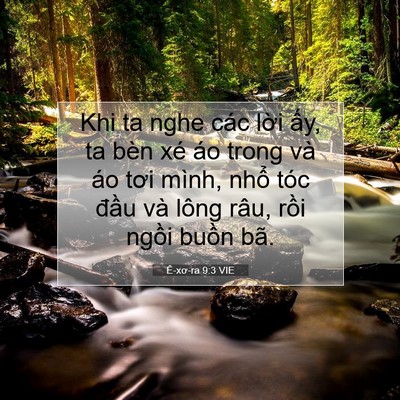 Picture 07 - Ê-xơ-ra 9:3 VIE - Khi ta nghe các lời ấy, ta bèn xé áo - Bible Verse Picture
