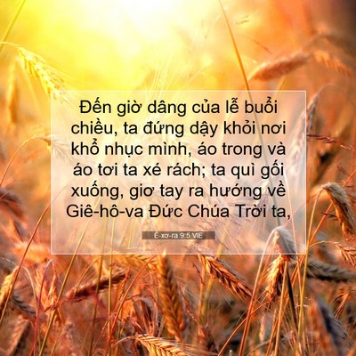 Picture 07 - Ê-xơ-ra 9:5 VIE - Đến giờ dâng của lễ buổi chiều, ta - Bible Verse Picture