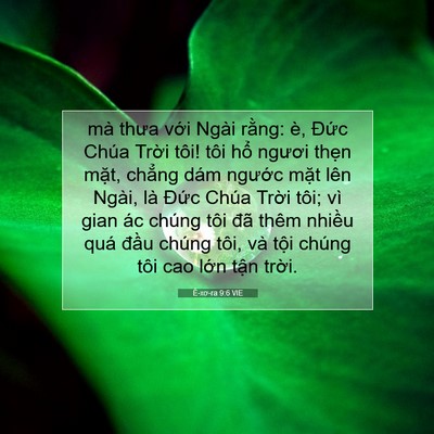 Picture 07 - Ê-xơ-ra 9:6 VIE - mà thưa với Ngài rằng: è, Đức Chúa - Bible Verse Picture