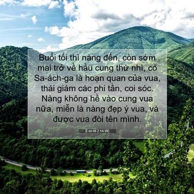 Picture 07 - Ê-xơ-tê 2:14 VIE - Buổi tối thì nàng đến, còn sớm mai - Bible Verse Picture